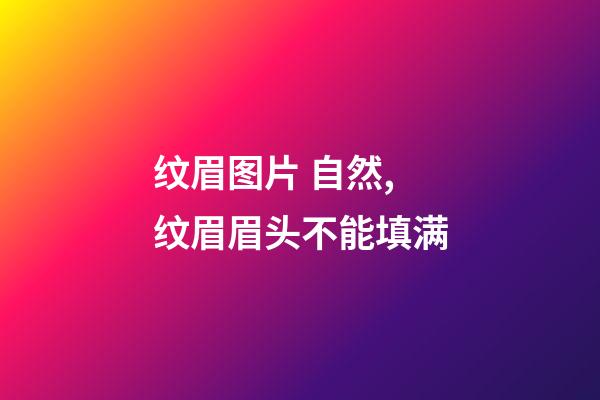 纹眉图片 自然,纹眉眉头不能填满-第1张-观点-玄机派